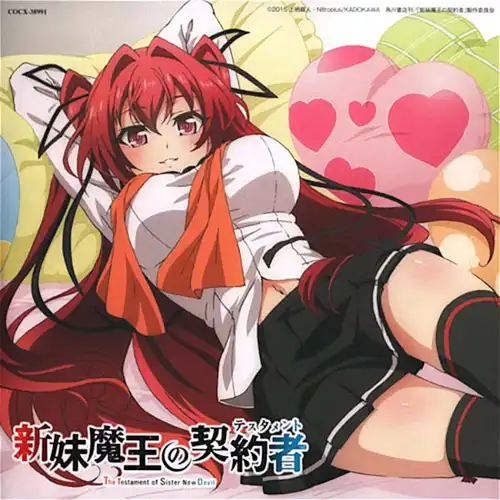 The Testament of Sister New Devil Rinkai Toppa no Zecchou Music Collection cover