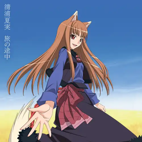 Spice and Wolf - In the Middle of a Journey cover