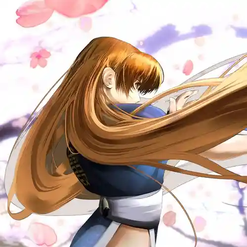 Dead or Alive: Dimensions Original Soundtrack cover