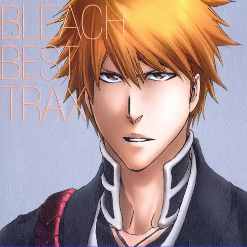 Bleach Best Trax cover