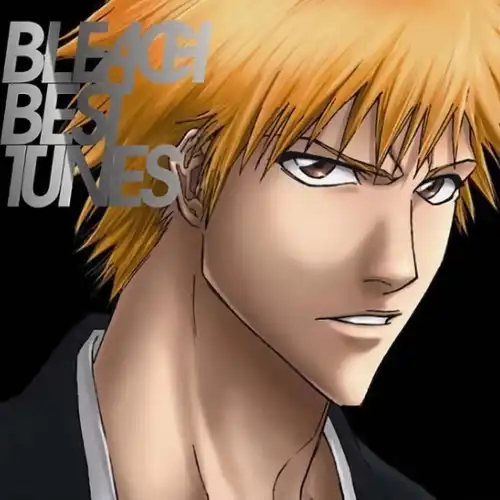 Bleach Best Tunes cover